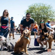 Pints and Paws Pints and Paws event in Sanford, FL
